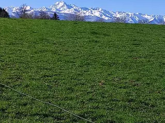 Terrain vente à Bagnères-de-Bigorre, Houeydets