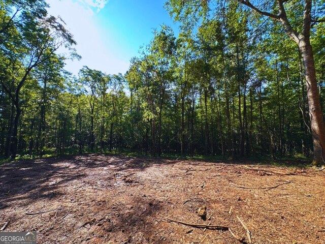 Land for sale in Haddock, Georgia