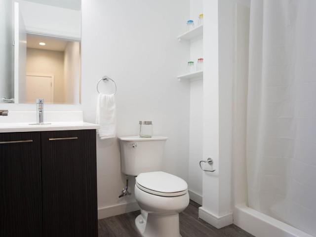 Apartment for rent in Worcester, Worcester County
