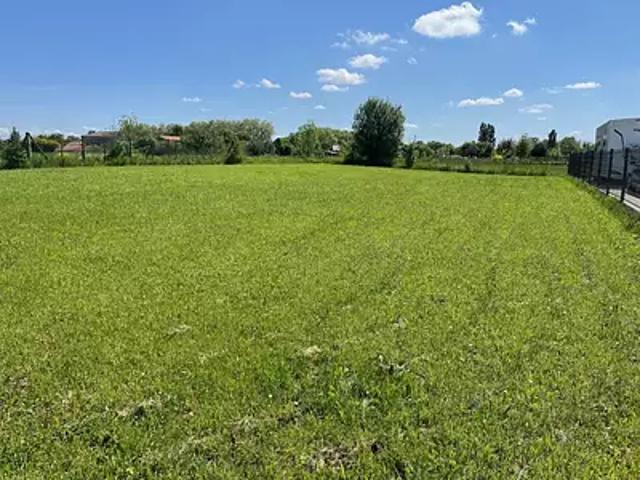 Terrain vente à Cognac, Houlette