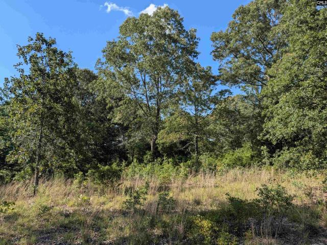Land for sale in Camden, South Carolina