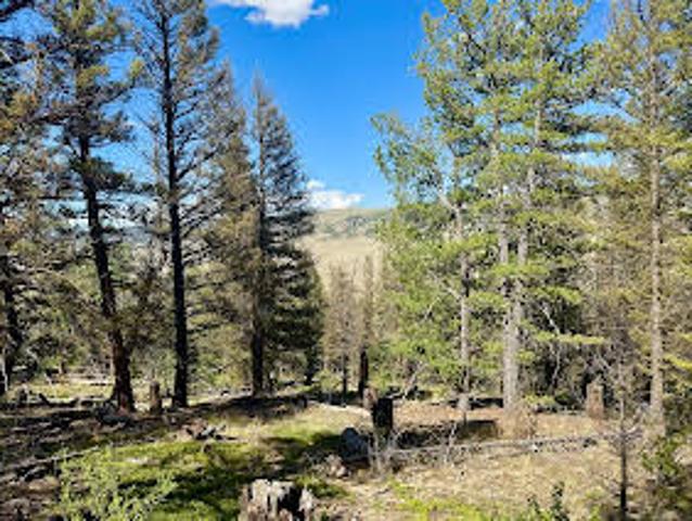 House for sale in Fairplay