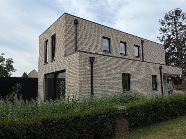 Maison location à Maaseik