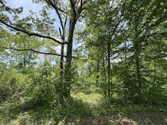 House for sale in White Bluff