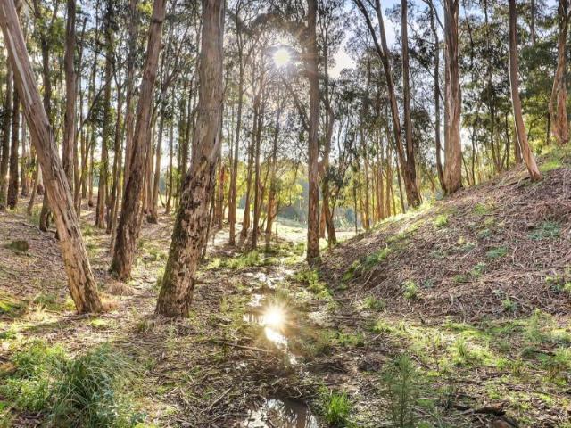 House for sale in Tolmie, Rural City of Wangaratta