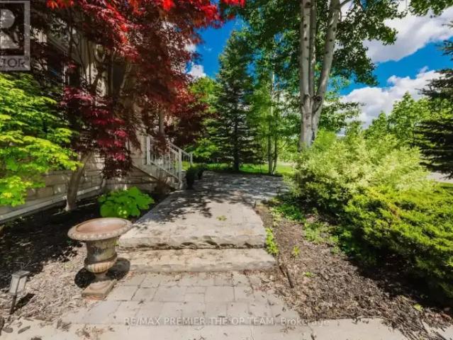 House for rent in York, Ontario