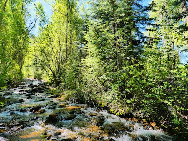 House for sale in Rico, Colorado