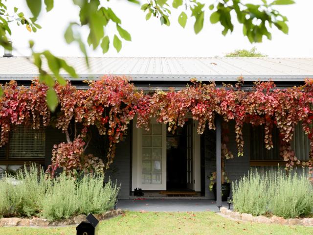 House for rent in Bowral, New South Wales