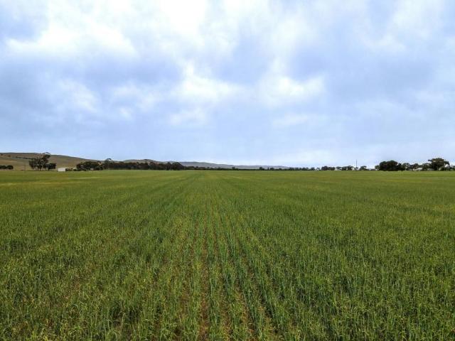 House for sale in Goyder, South Australia