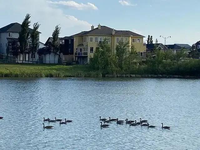 House for rent in Northwest, Alberta