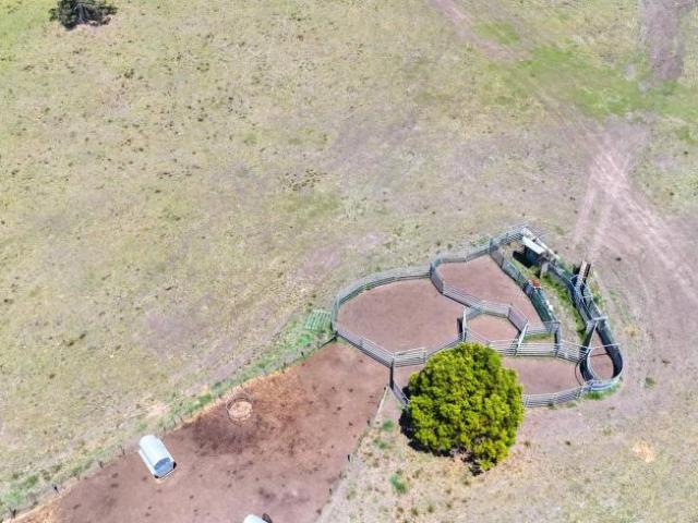 House for sale in Collombatti, New South Wales