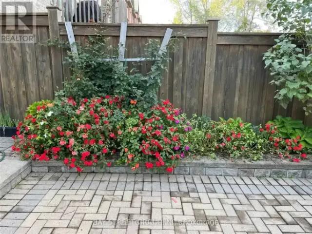 House for rent in York, Ontario