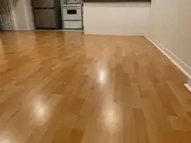 House for rent in York, Ontario