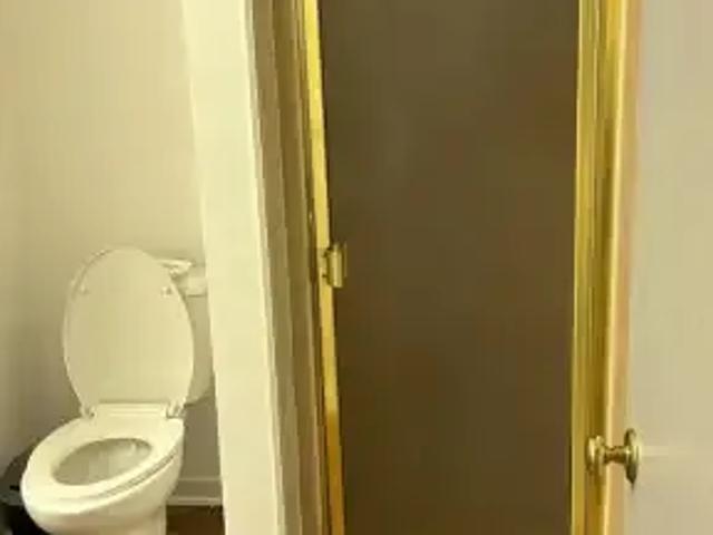 House for rent in St. Catharines, Golden Horseshoe