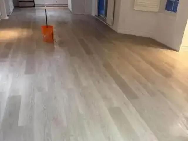 House for rent in York, Ontario