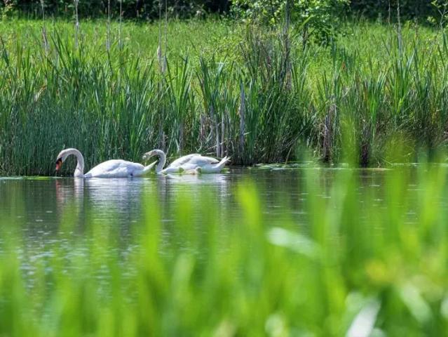 House for sale in Hart, Hampshire
