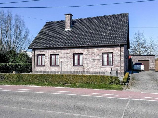 Maison location à Sint-Gillis-Waas