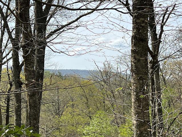 House for sale in Watauga, North Carolina