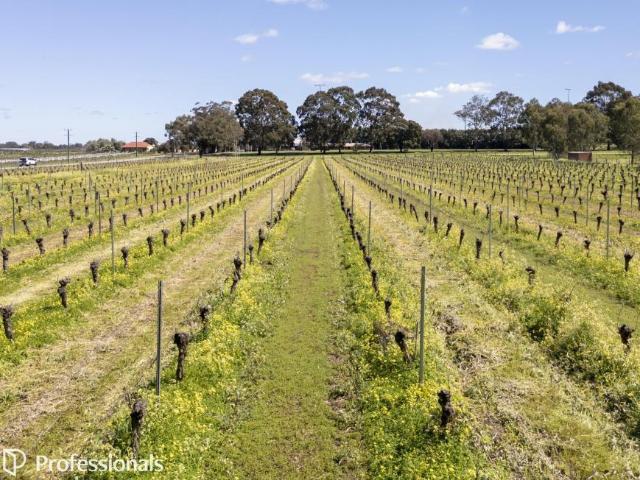 House for sale in Baskerville, City of Swan