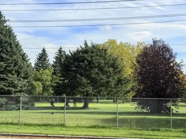 House for rent in North Glenmore, Calgary