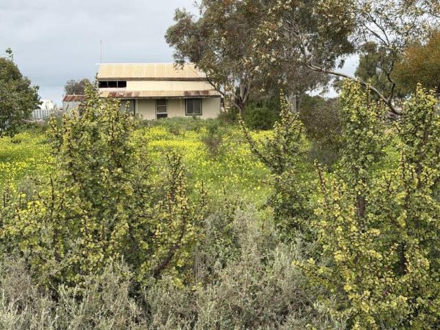 House for sale in Coonamia, South Australia