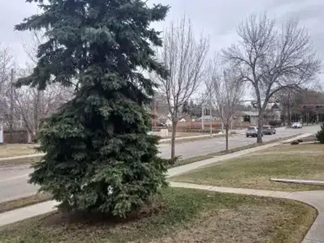 House for rent in Wedgewood, Alberta