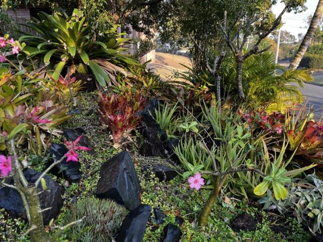 House for sale in Frenchville, Queensland