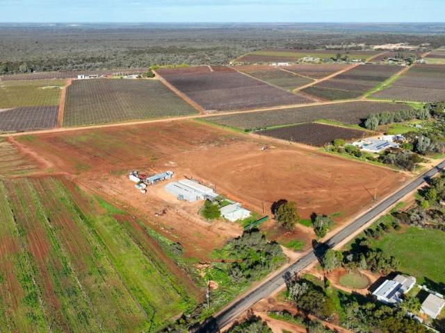 House for sale in Loveday, Barmera