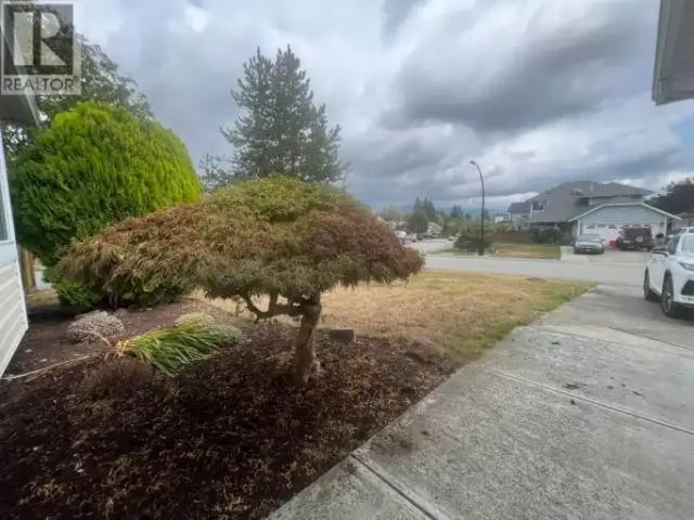 House for rent in Maple Ridge, British Columbia