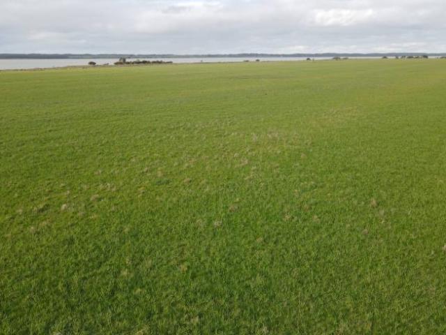 House for rent in Beachport, South Australia