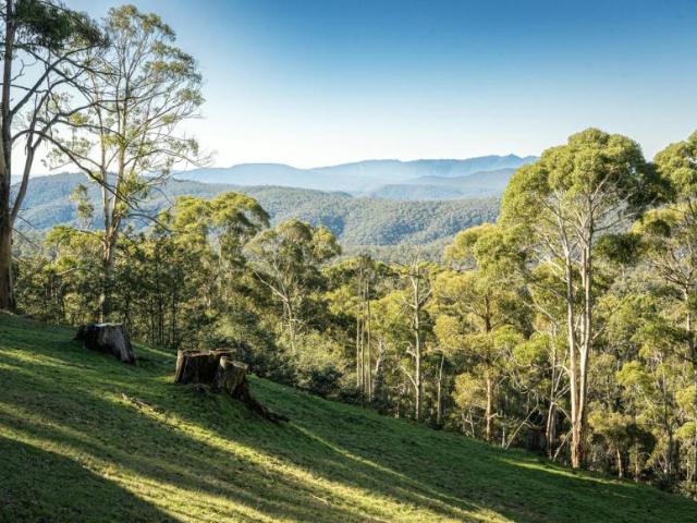 House for sale in Tolmie, Rural City of Wangaratta