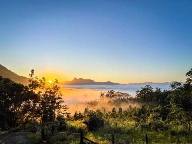 House for sale in Tyalgum Creek, New South Wales