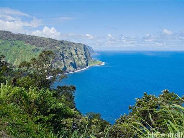 House for sale in Honokaa, Hawaii