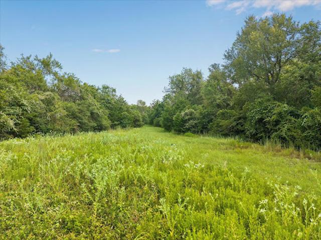 House for sale in Bellville, Texas