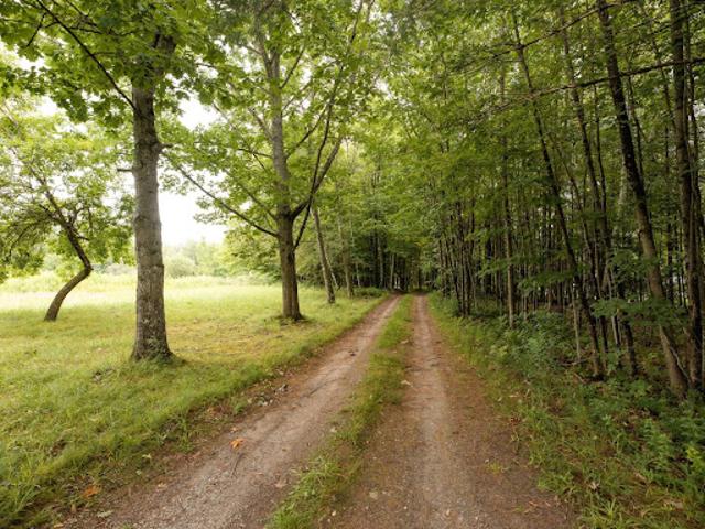 House for sale in Memphrémagog, Quebec