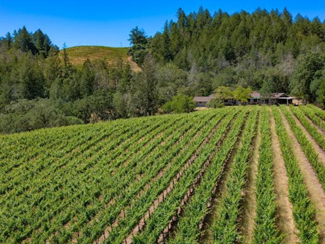 House for sale in Calistoga, California
