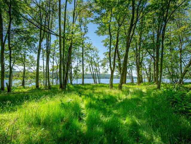 House for sale in Appleton, Maine