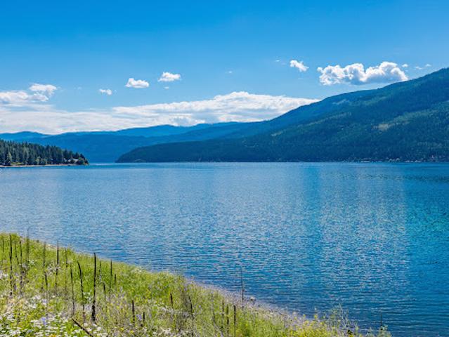 House for sale in Tappen, British Columbia