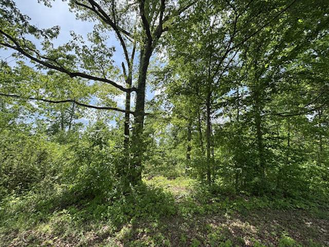 House for sale in White Bluff House for sale in White Bluff