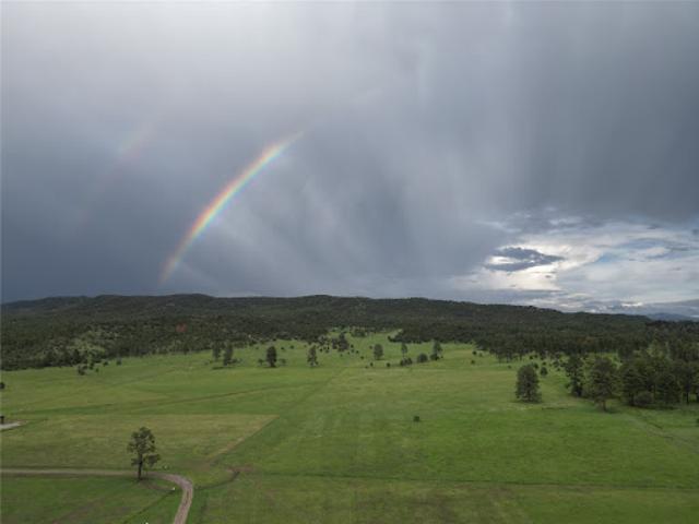 House for sale in New Mexico