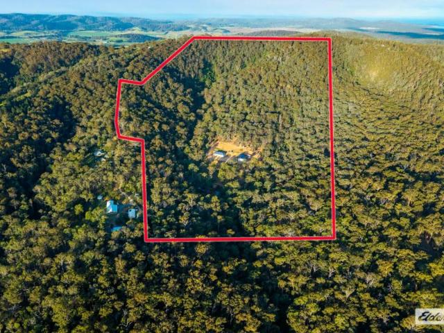 House for sale in Black Range, Bega