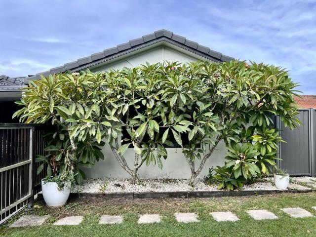 House for sale in Brunswick Heads, New South Wales