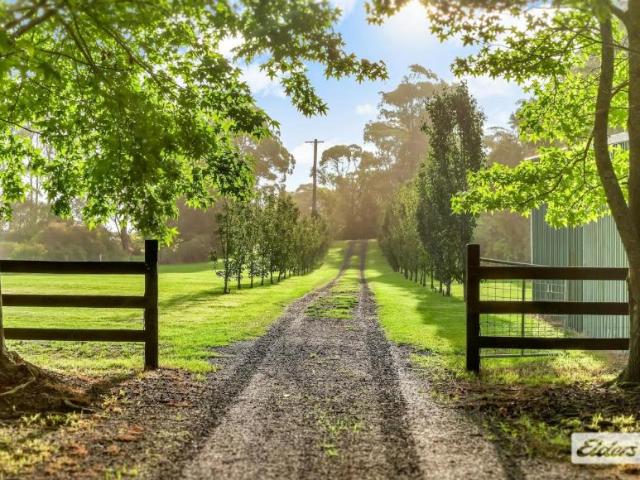 House for sale in Central Mangrove, Central Coast Council