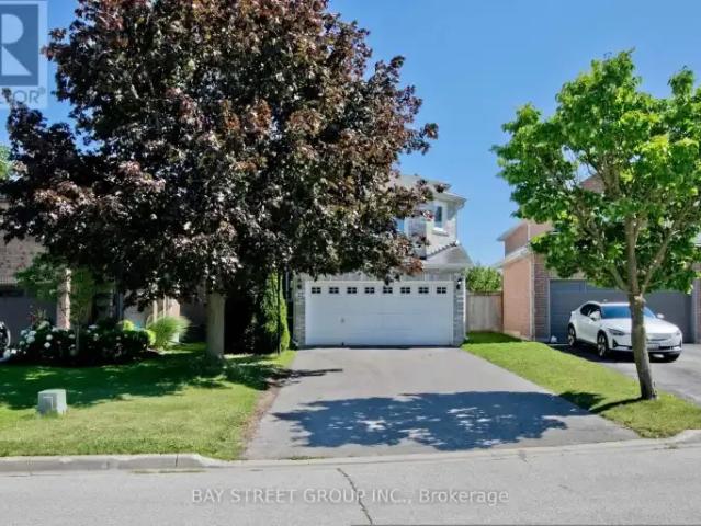 House for rent in Richmond Hill, Golden Horseshoe