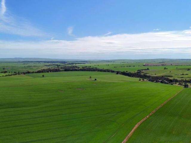 House for sale in Yacka, Northern Areas Council