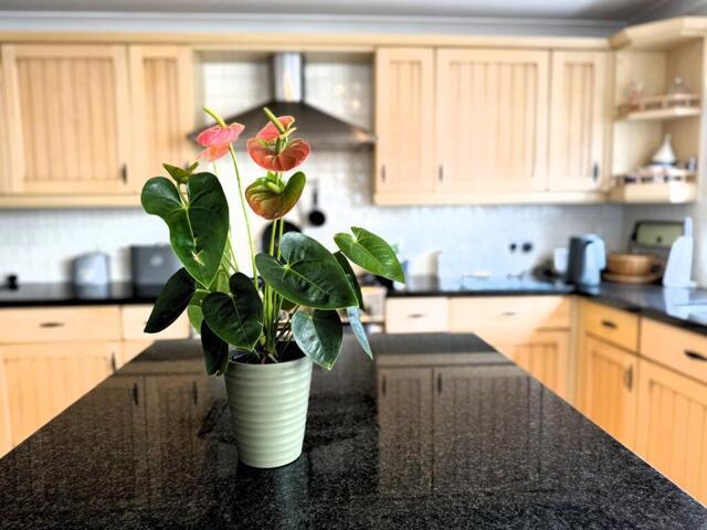 House for sale in Bedford
