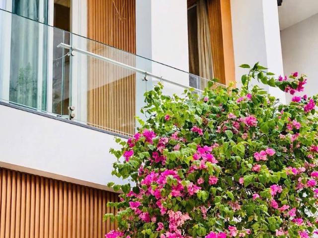 Bất động sản cho thuê tại Sơn Trà, Đà Nẵng