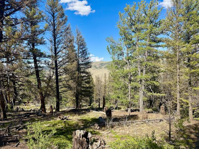 House for sale in Fairplay, Colorado