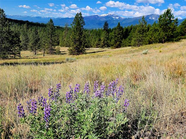 House for sale in Ravalli, Montana