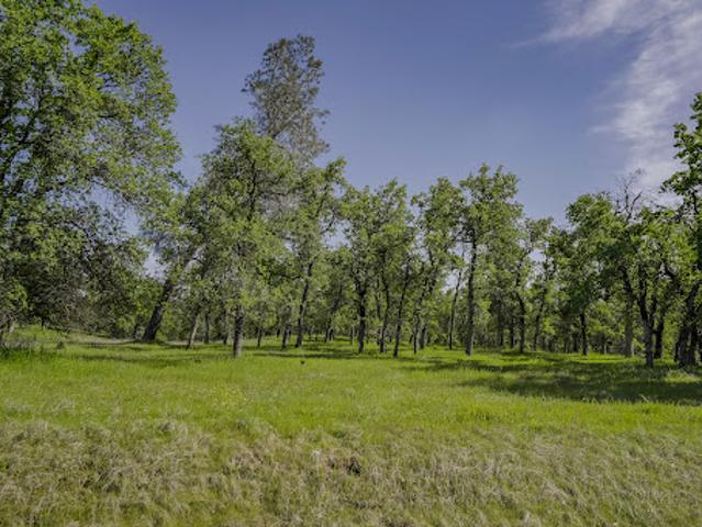 House for sale in Shasta, California